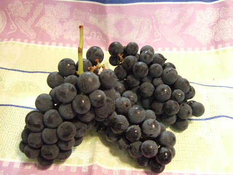 DSCF4439.JPG