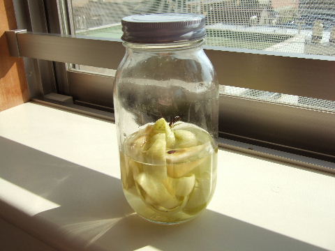 DSCF4731.JPG